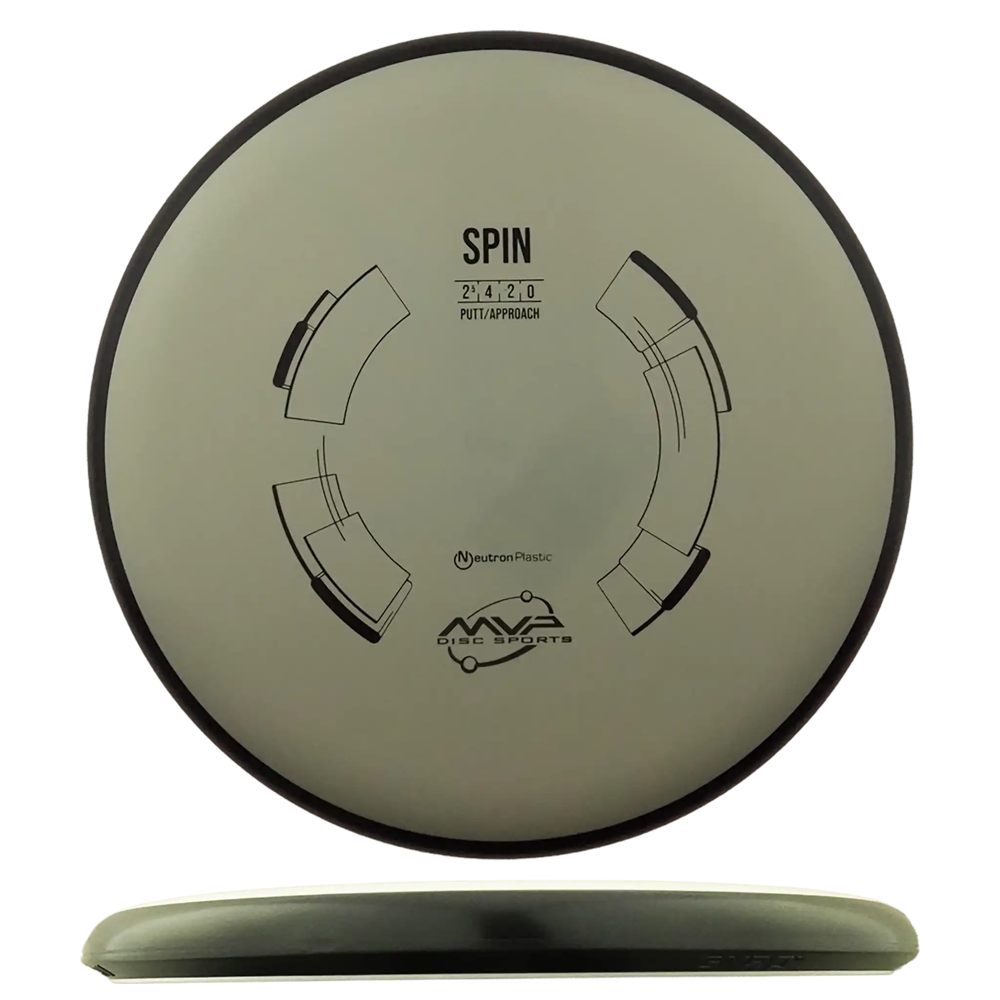 Neutron Spin