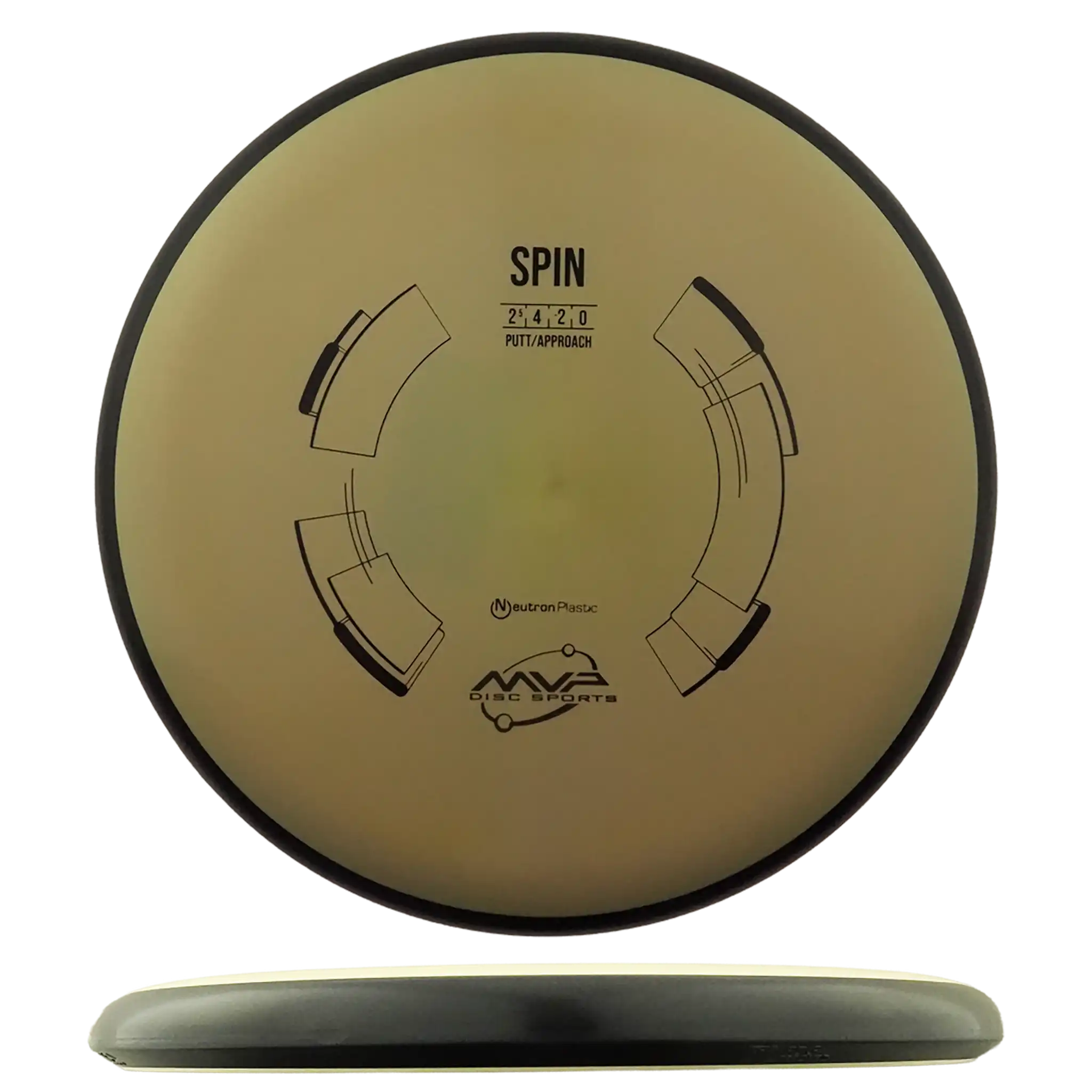 Neutron Spin