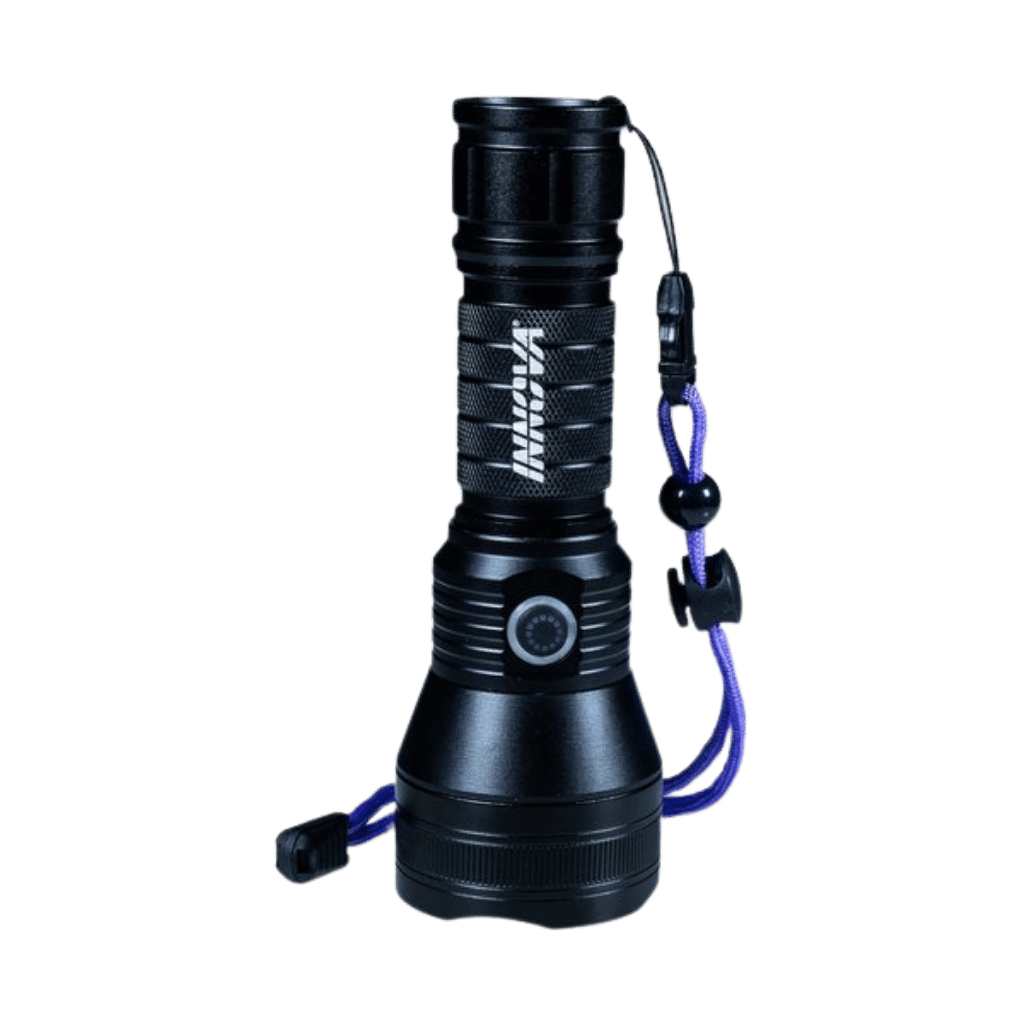 Rechargeable UV Flashlight