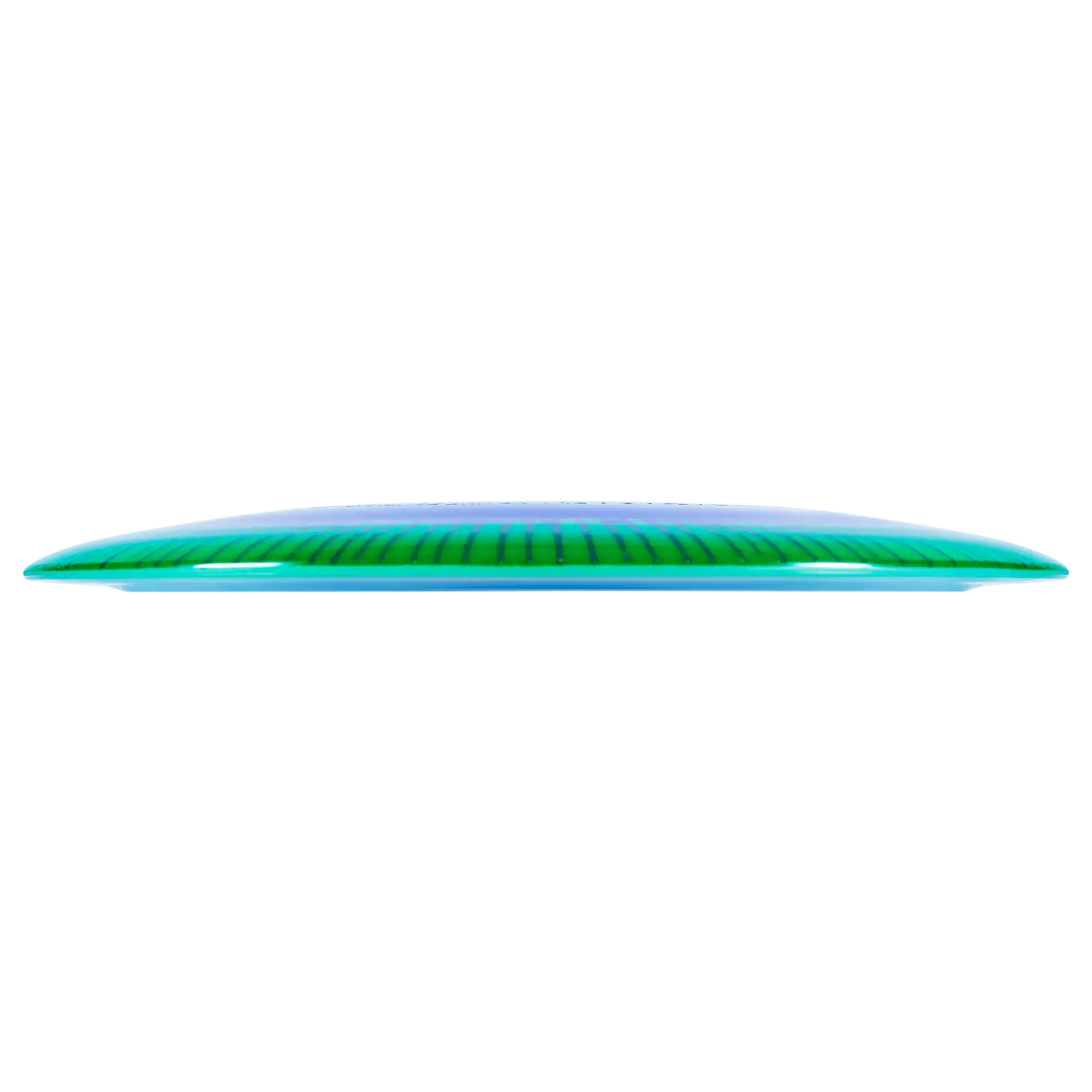 I-Dye Champion Tern