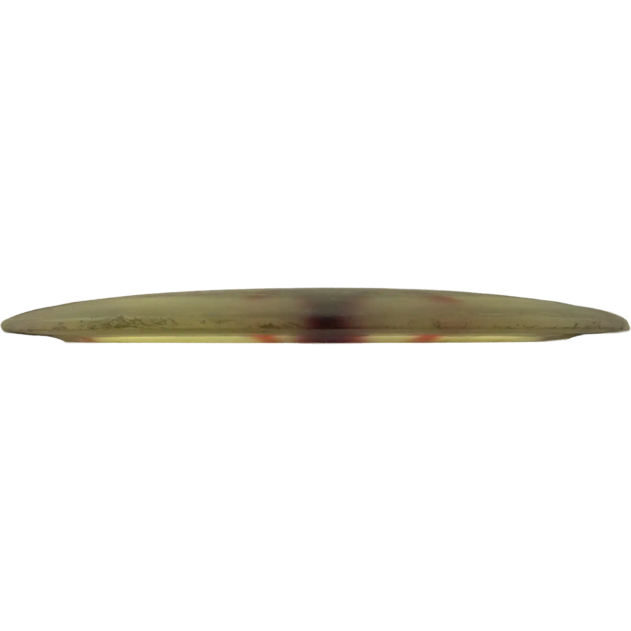 Champion Tern - Dyed