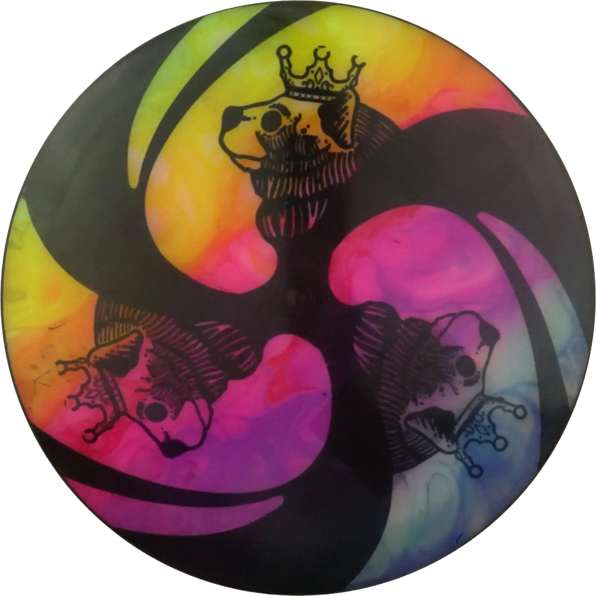 C-Line FD1 - Discking Dyed