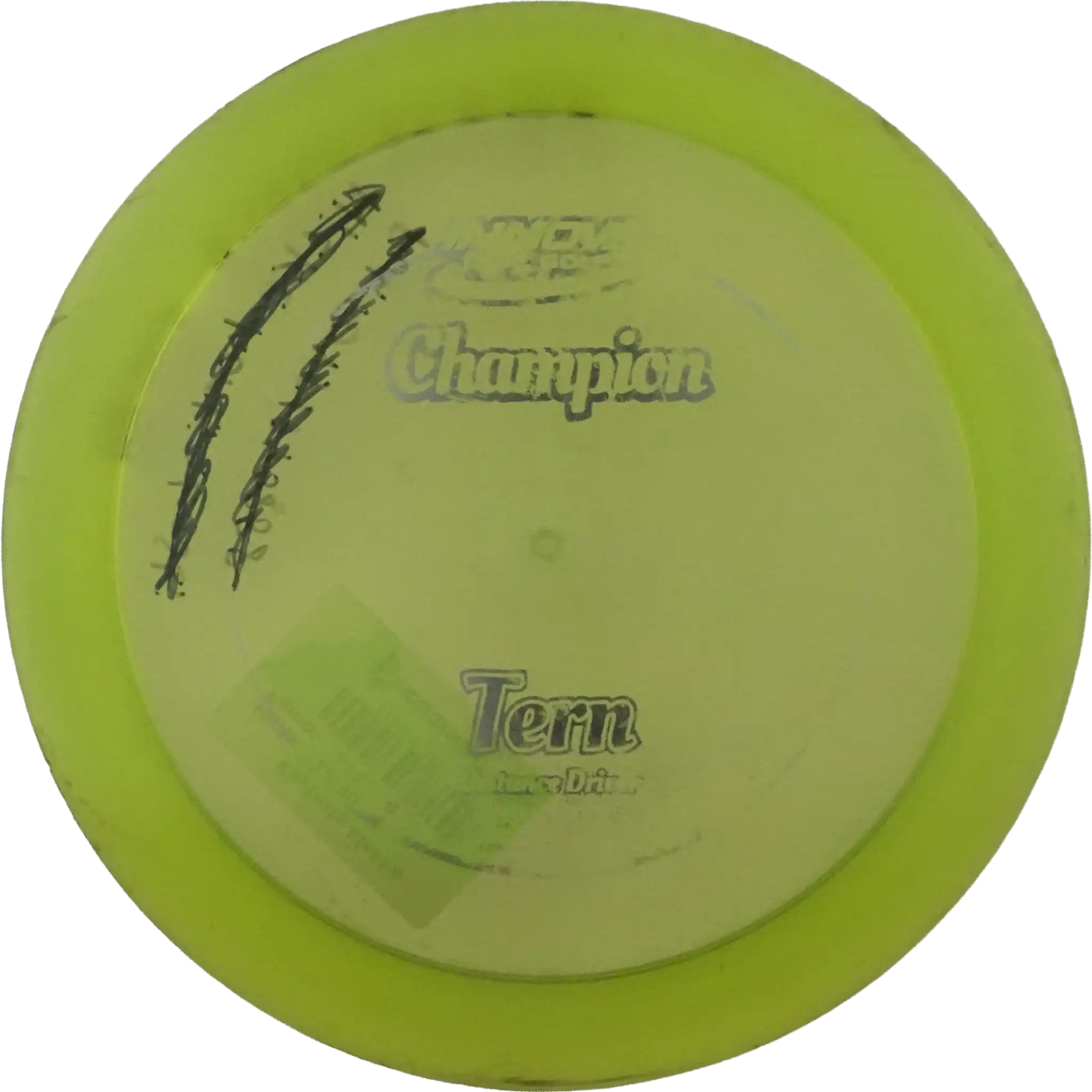 Champion Tern