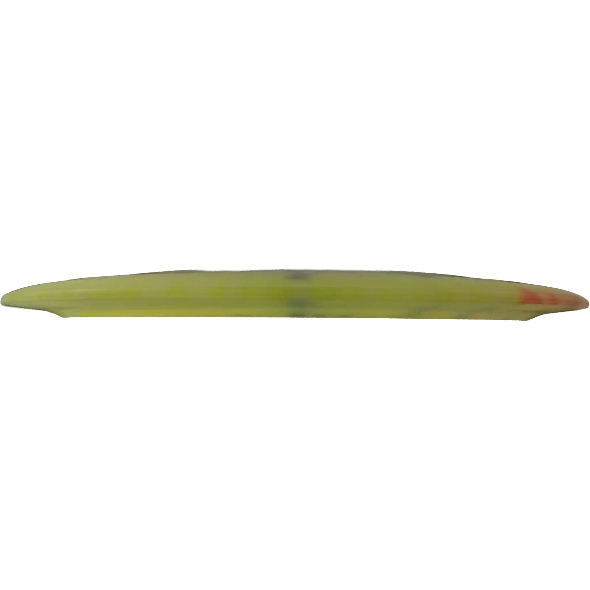 Champion Tern - Dyed