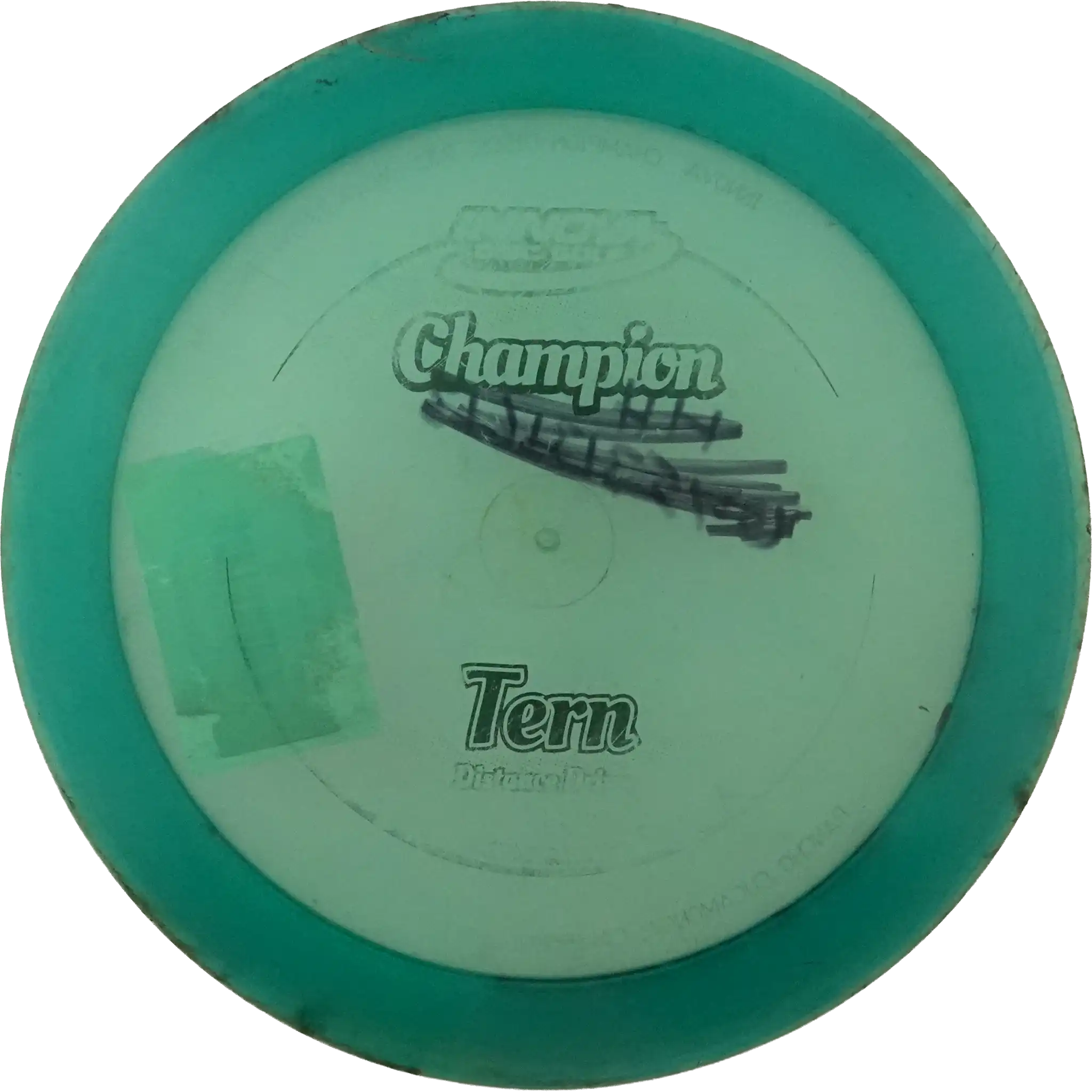 Champion Tern