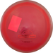 Project Grip Rive