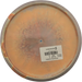 500 Spectrum A5