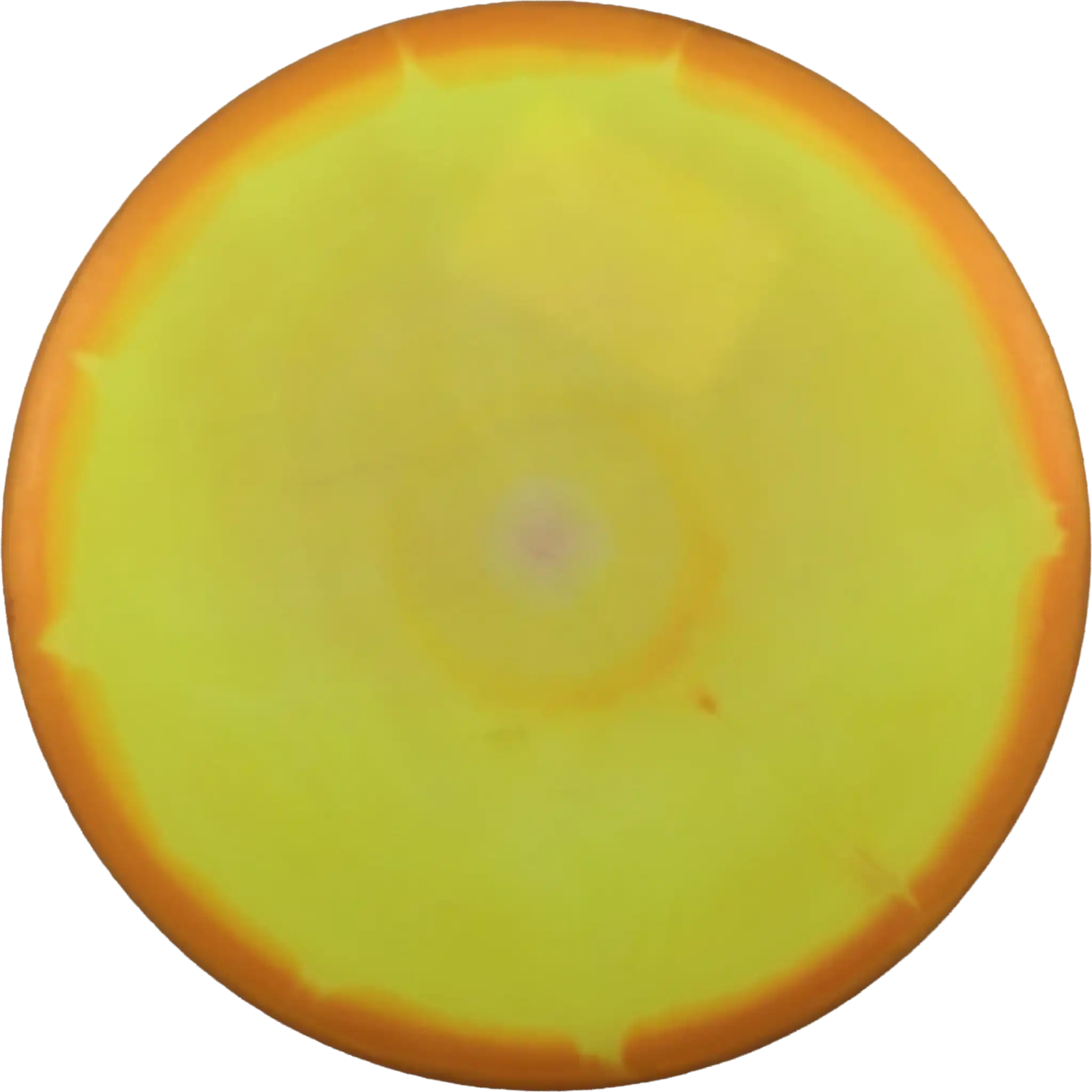 Halo Star Lion