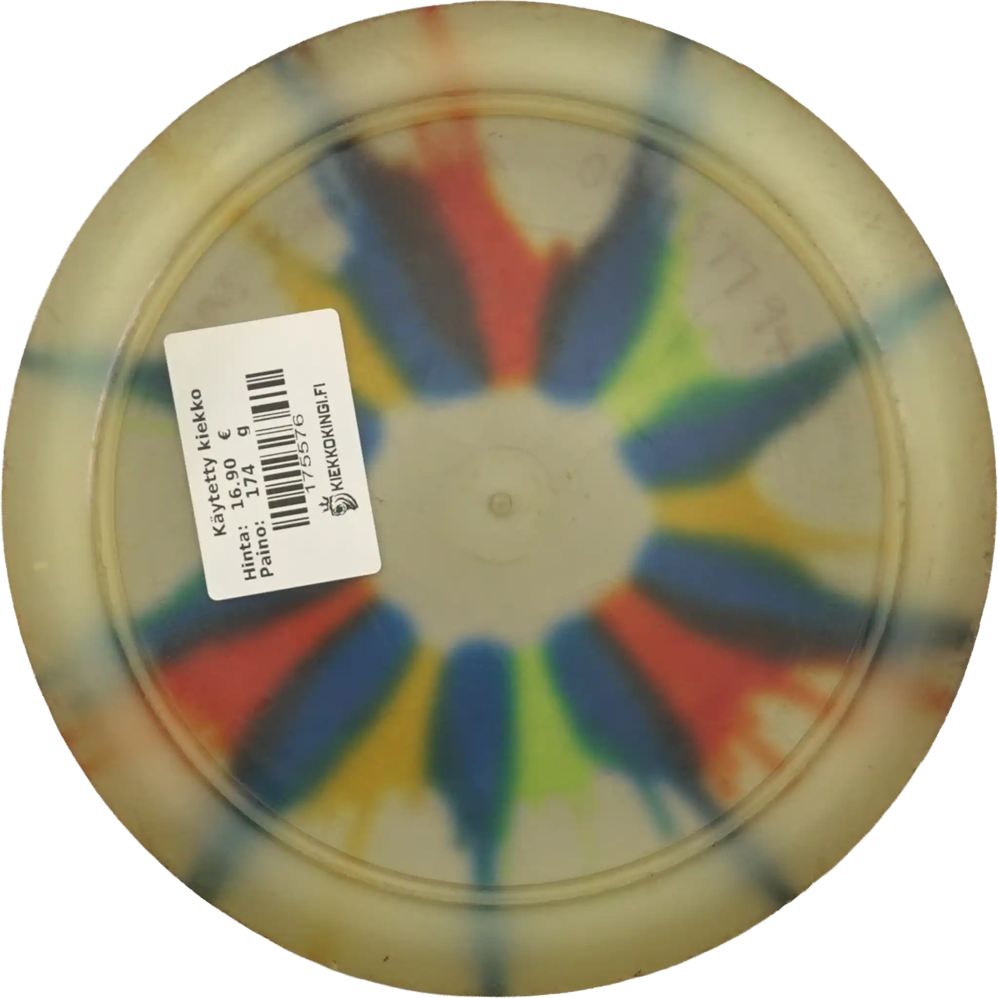 Champion Tern