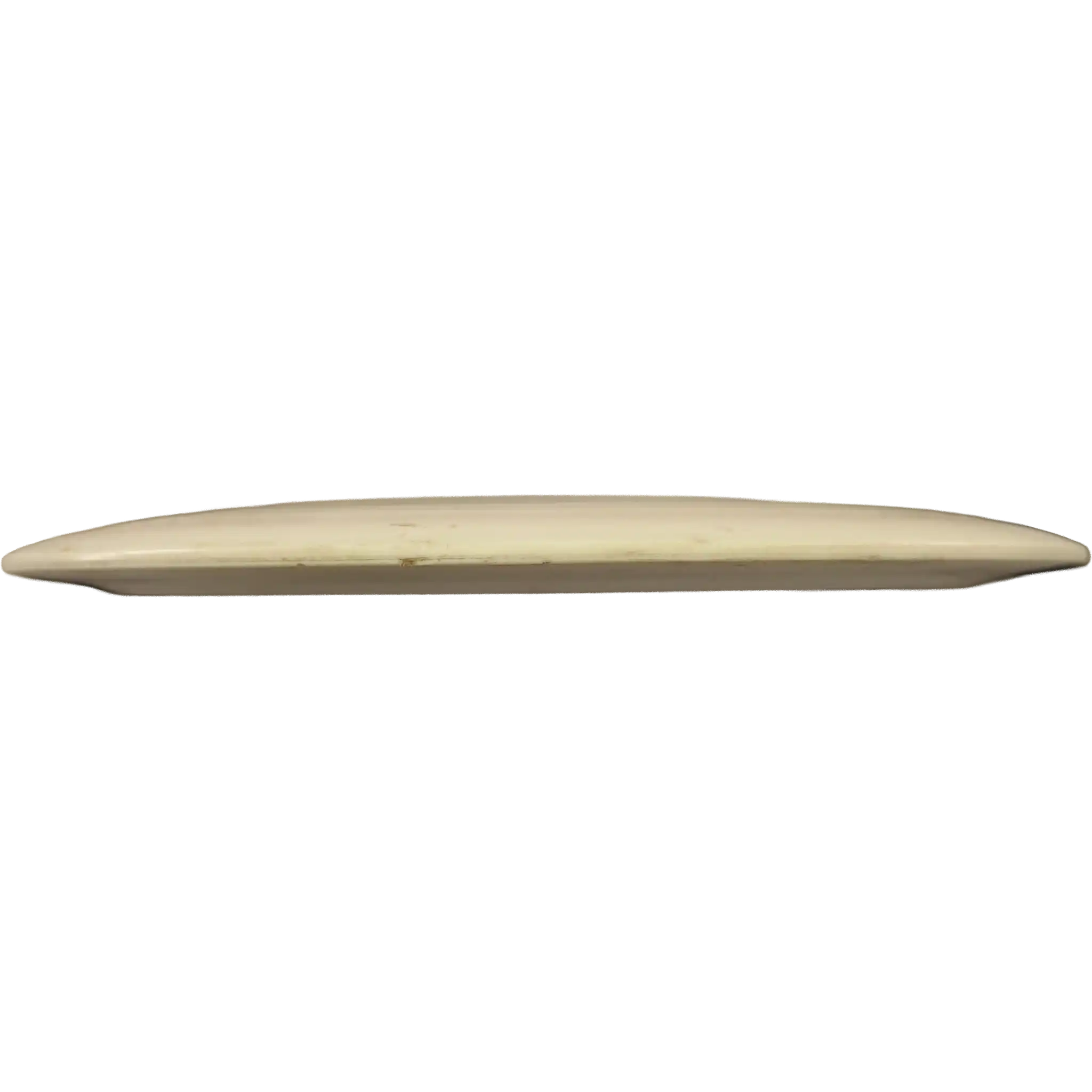 Fuzion Raider