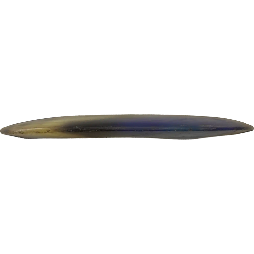 Champion Beast - Barry Schultz - 2x World Champion - Dyed