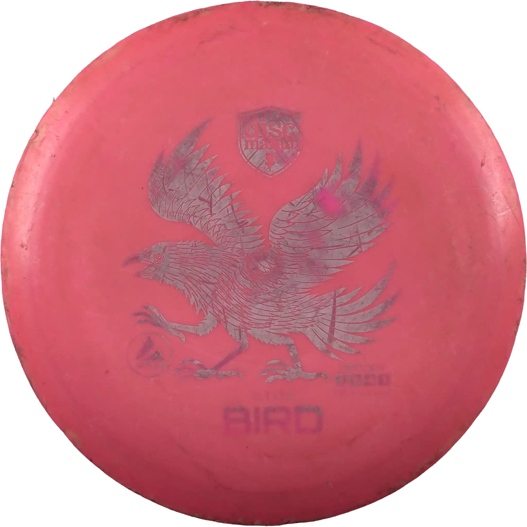 Active Sun Bird