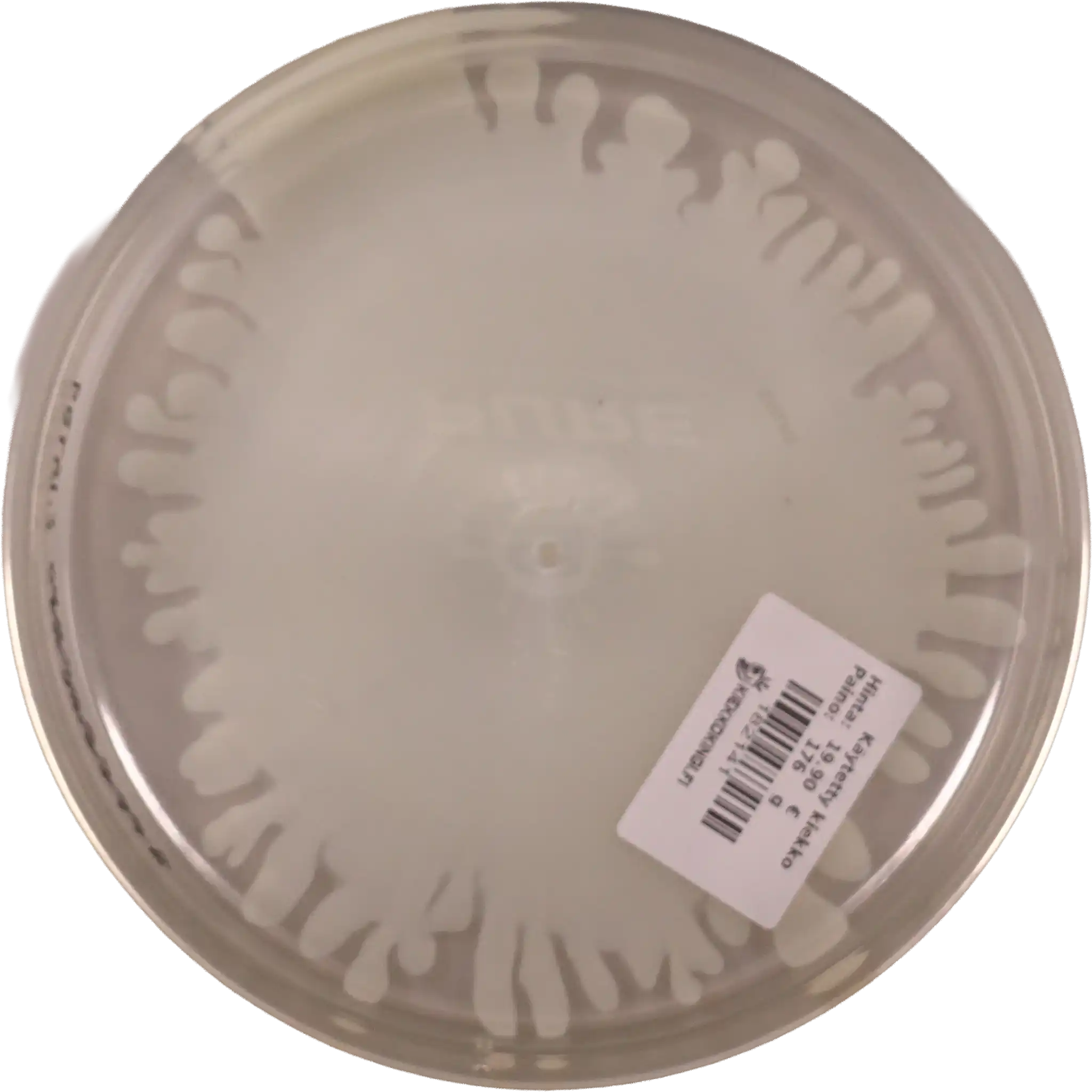 Opto-Ice Moonshine Splash Pure