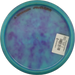 Neo Method - Dyed