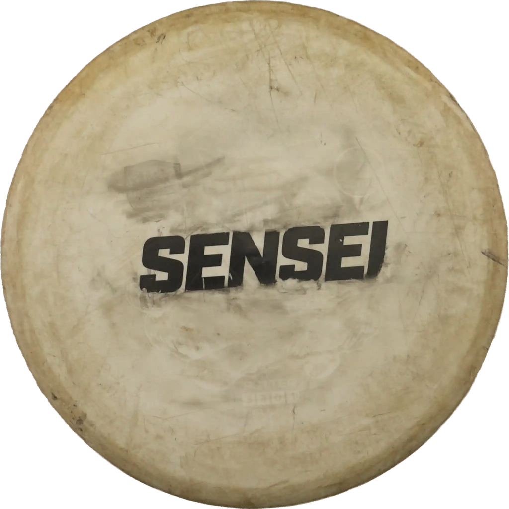 Active Sensei