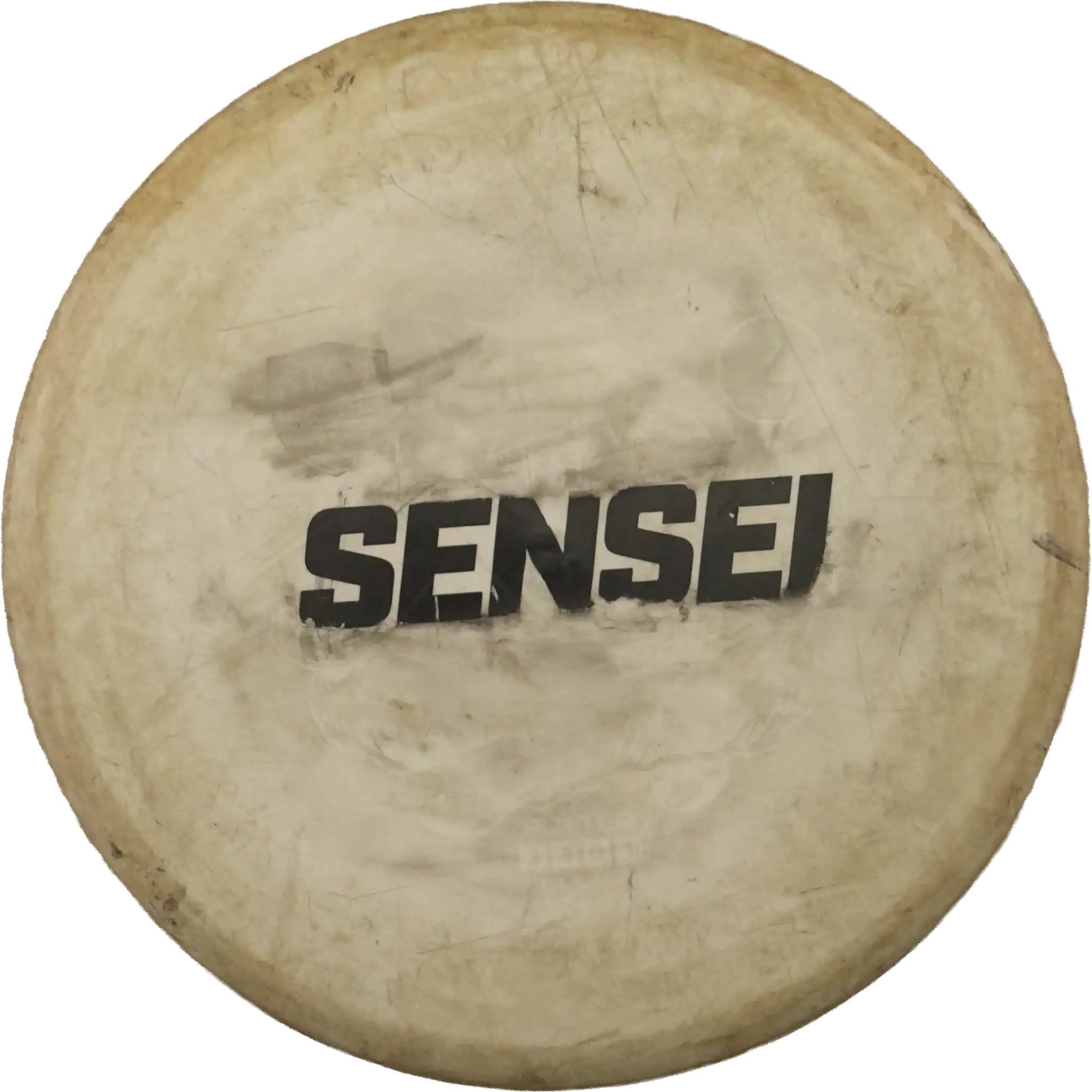 Active Sensei