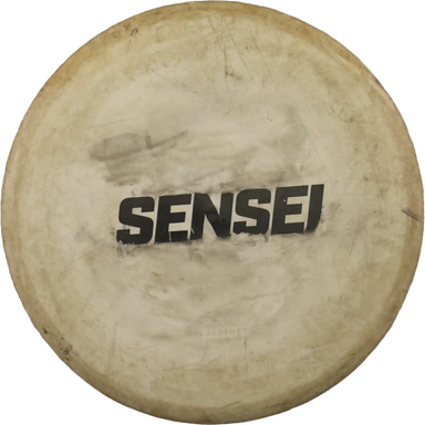 Active Sensei