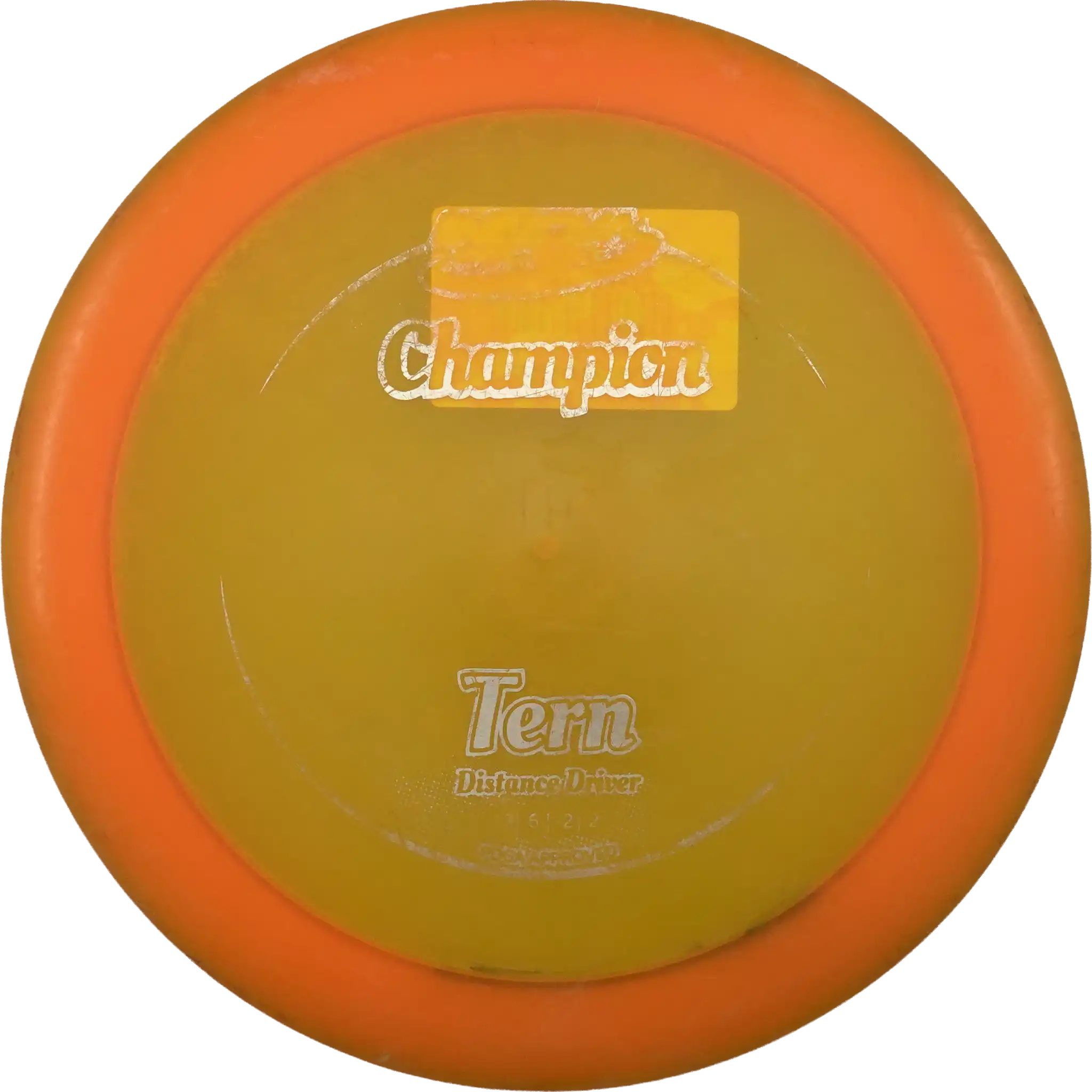 Champion Tern