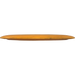 Star Tern
