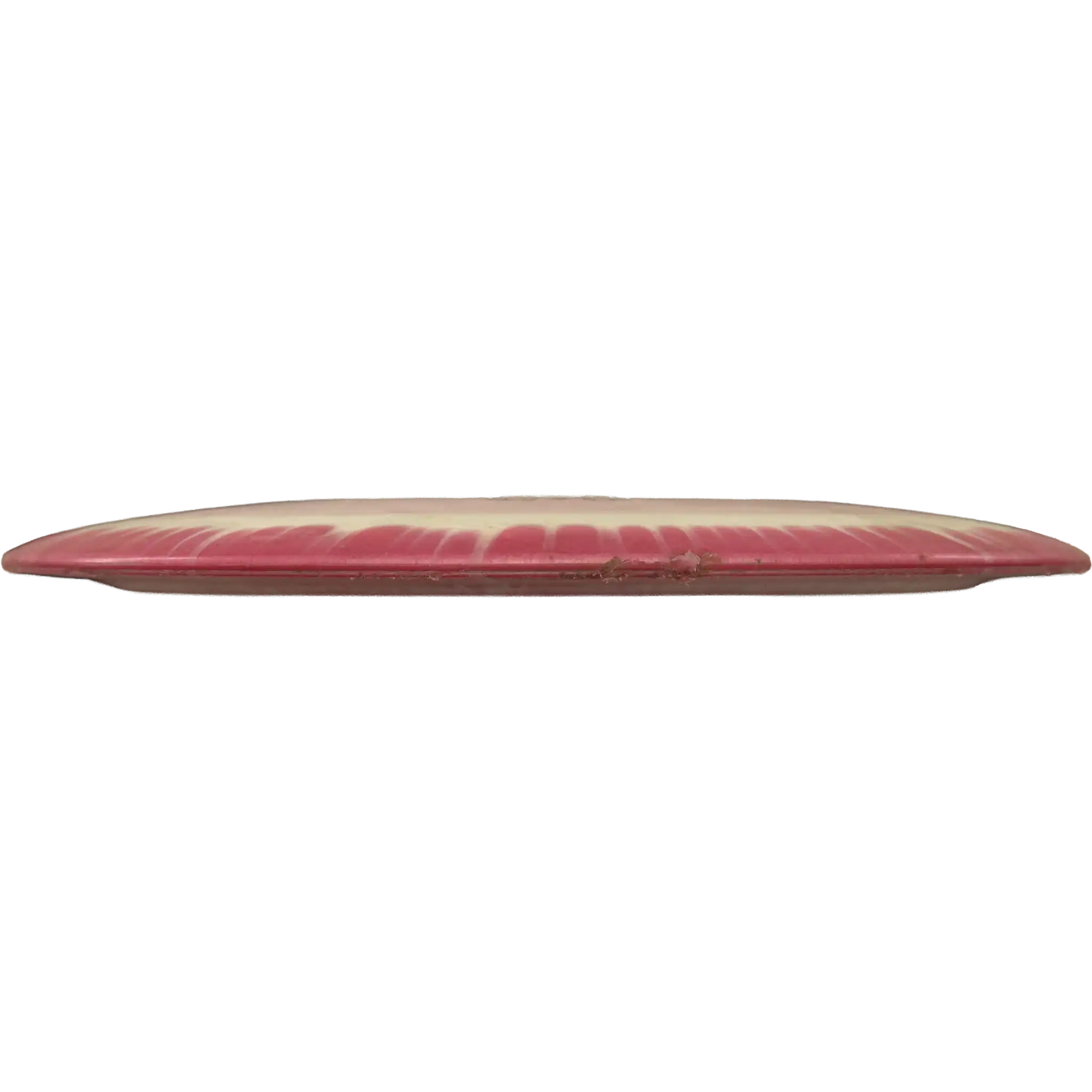 Halo Star Tern