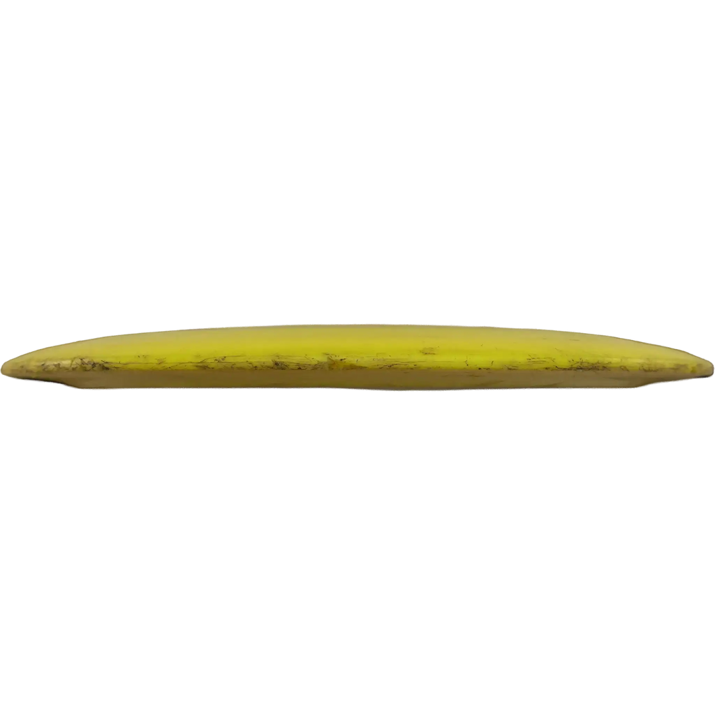 Fuzion Raider