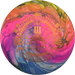 Tournament Bear - Dyed