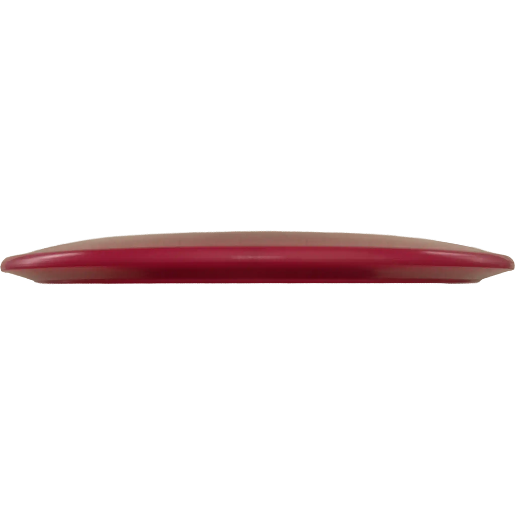 Champion Barracuda