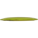 Quantum Astra