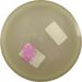 Active Glow Premium Magician