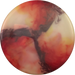 Opto Fuse - Dyed