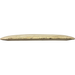Fuzion Raider