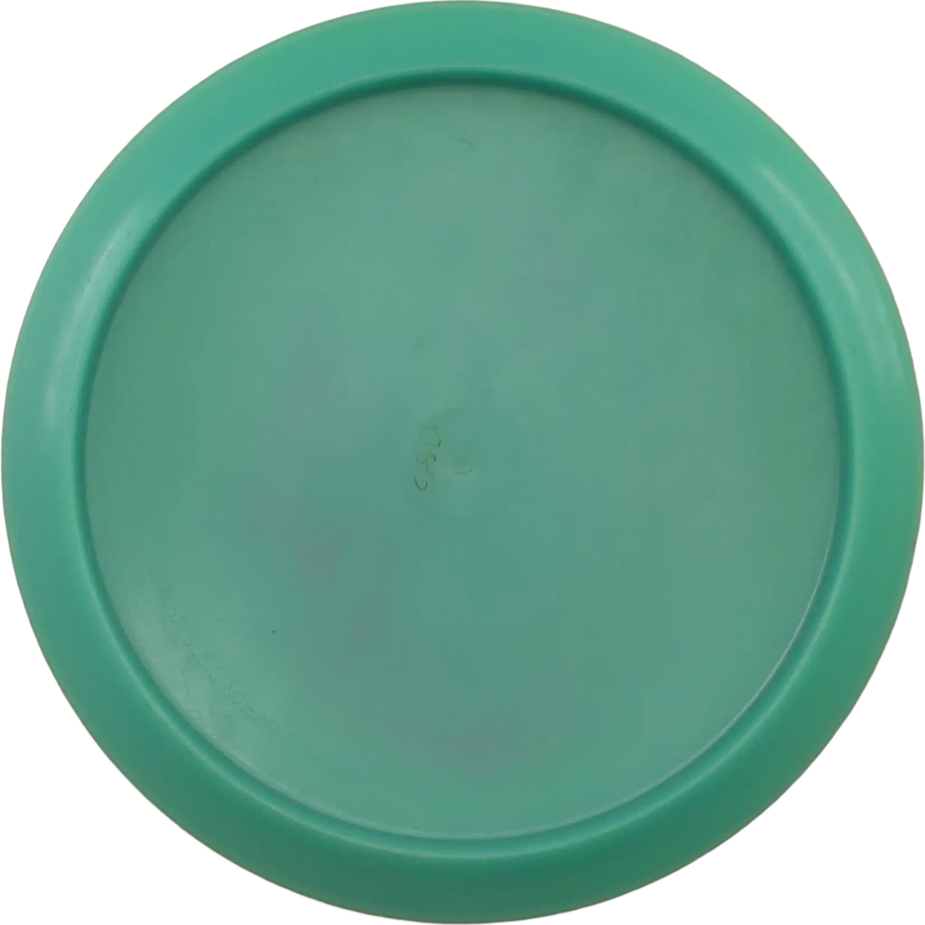 Color Glow Champion Teebird - Jennifer Allen
