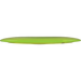 Champion Tern