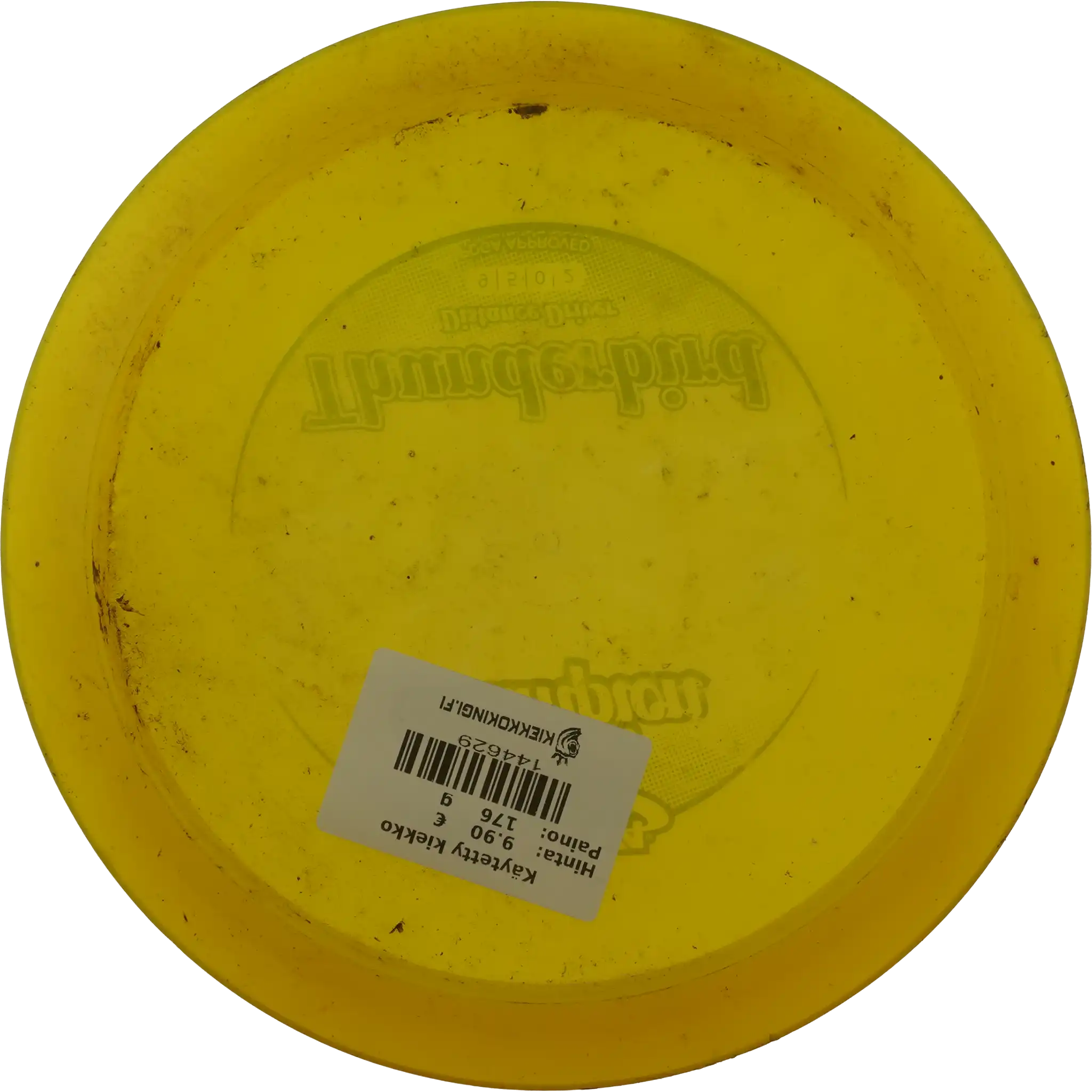 Champion Thunderbird